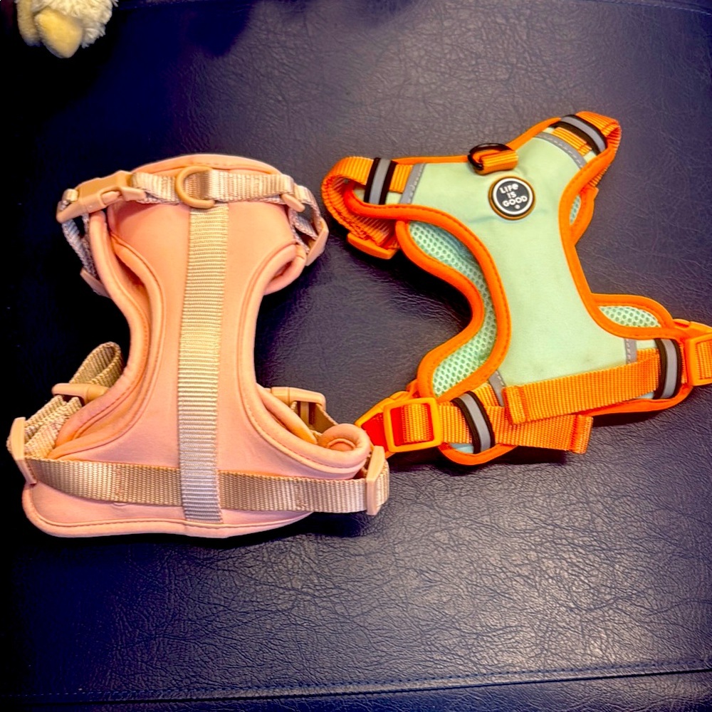 Life Is Good Orange and Green Dog Harness